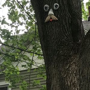 Meet your Posher, Dan